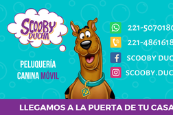 Scoobyducha