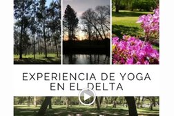 Yoga, Zumba, Meditación y Terapia Emociones - Flow Happiness (Online, Tigre, Palermo y Colegiales)